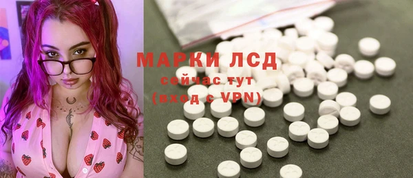 стаф Магас